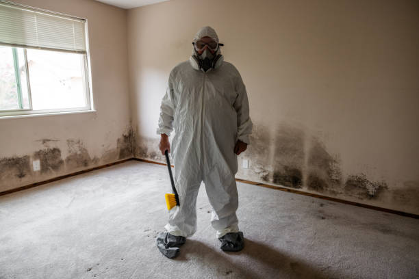 Best Emergency Mold Removal  in Tye, TX