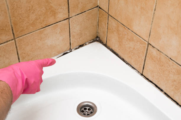 Best Professional Mold Removal  in Tye, TX